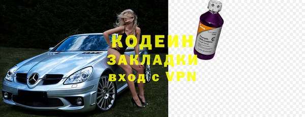 сатива Ельня