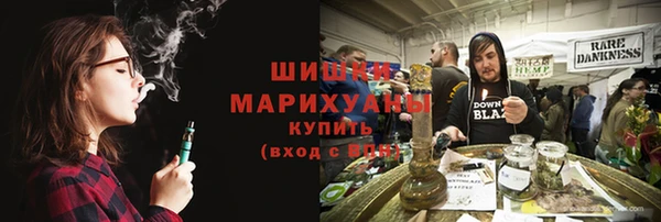 сатива Ельня