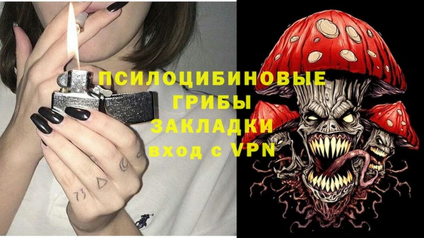 метамфетамин Елизово