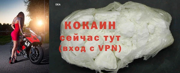 сатива Ельня