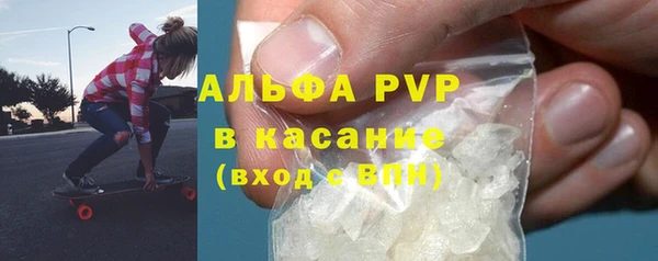 сатива Ельня