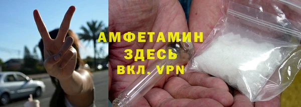 сатива Ельня