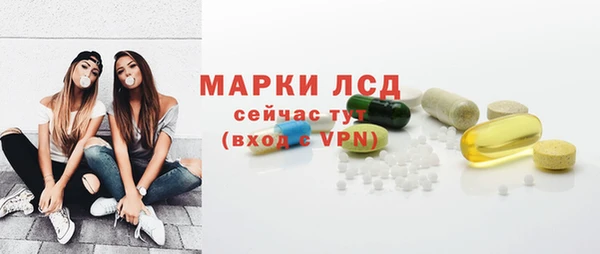 сатива Ельня