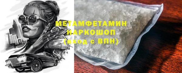 сатива Ельня