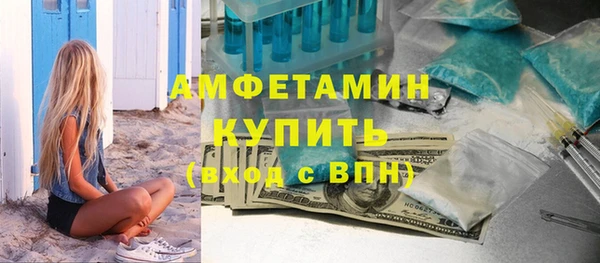 сатива Ельня