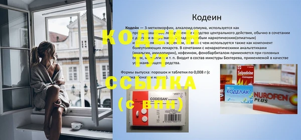 сатива Ельня
