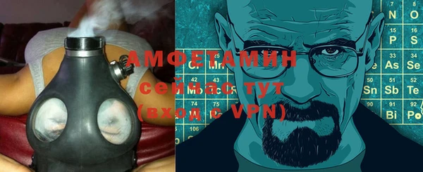 сатива Ельня