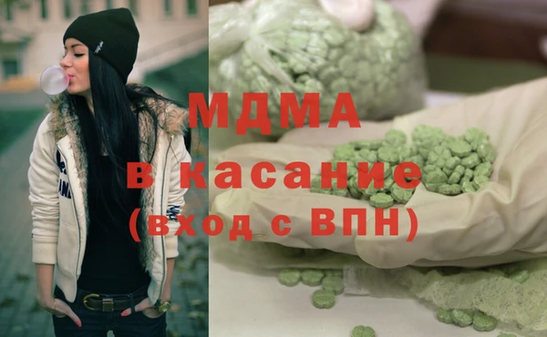 сатива Ельня