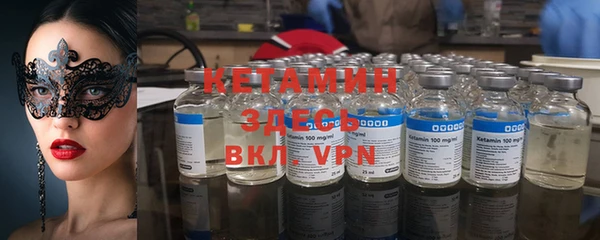 сатива Ельня