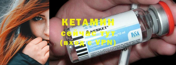 сатива Ельня