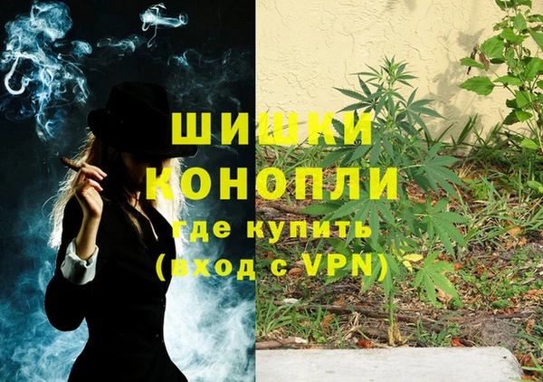 сатива Ельня