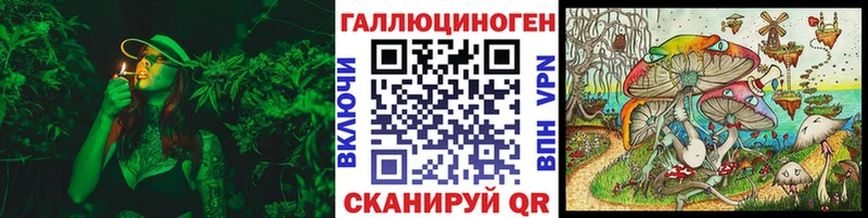 Купить  Дубовка  Галлюциногенные грибы GOLDEN TEACHER 